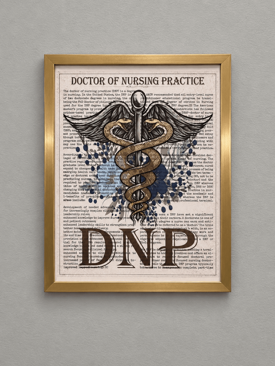 Doctor of Nursing Practice diploma, Walden University